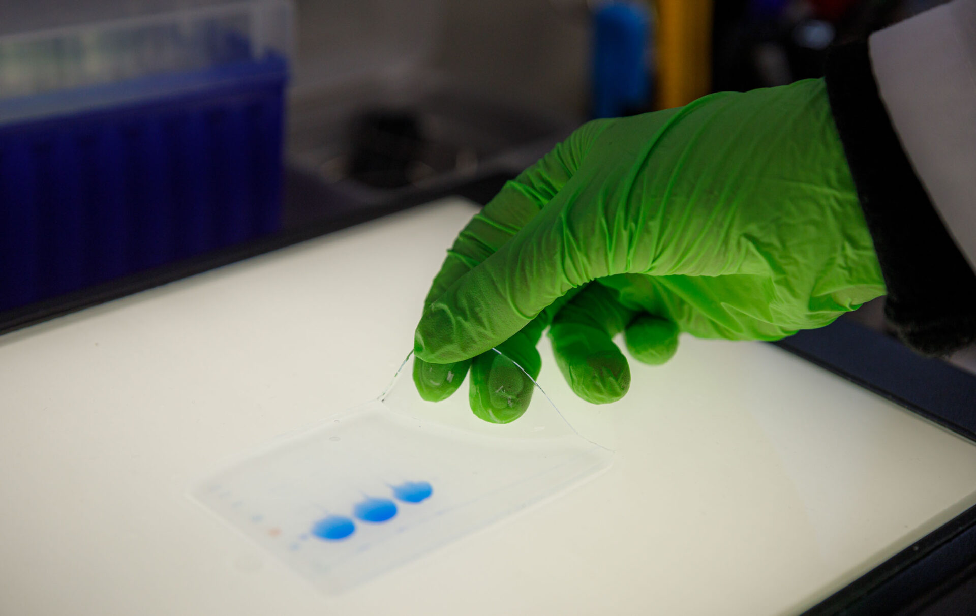 Coenzymatic tools for the design of macrocyclic peptides (CETMAP)