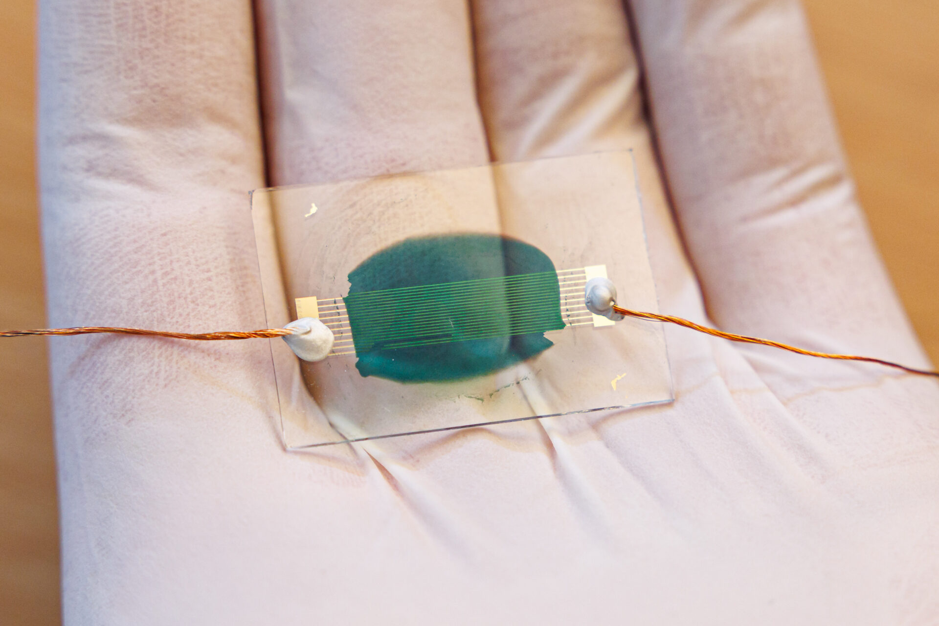 Polimēru bāzēts amonjaka sensors (POLYMONIA)
